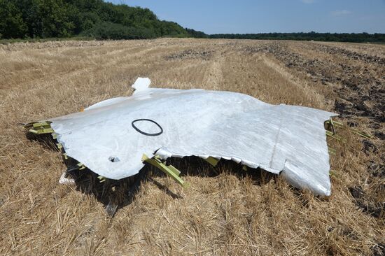 OSCE employees and experts work at Malaysia Airlines Boeing 777 crash site