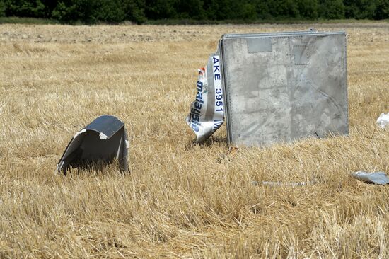 OSCE employees and experts work at Malaysia Airlines Boeing 777 crash site