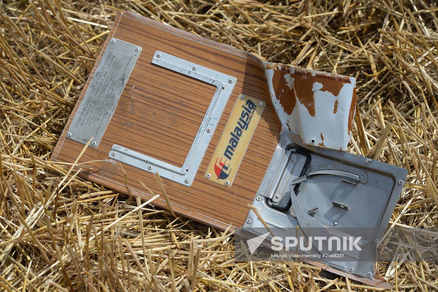 OSCE employees and experts work at Malaysia Airlines Boeing 777 crash site