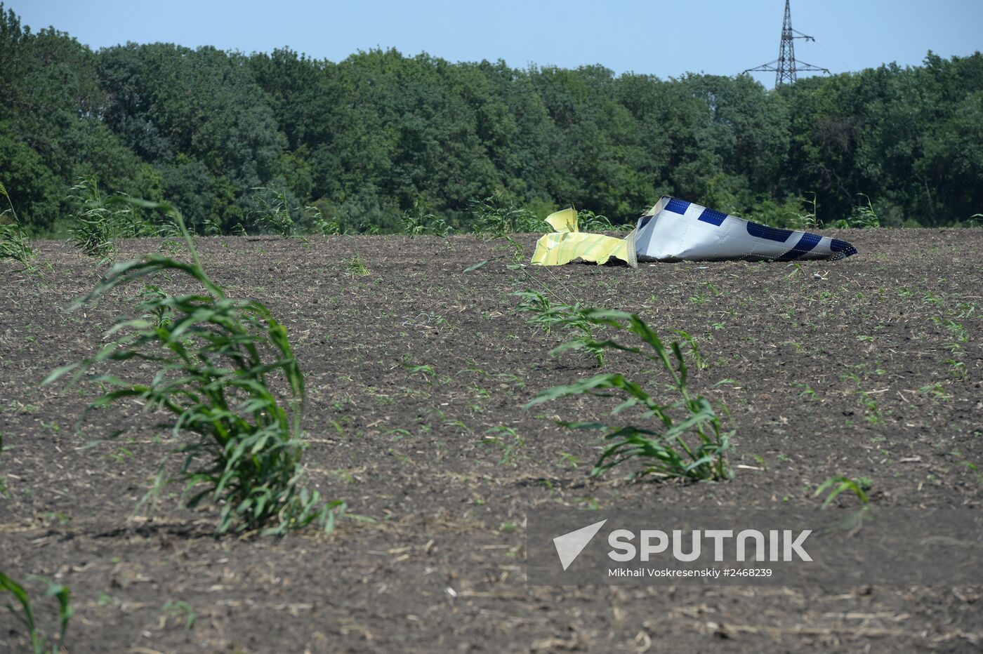OSCE employees and experts work at Malaysia Airlines Boeing 777 crash site