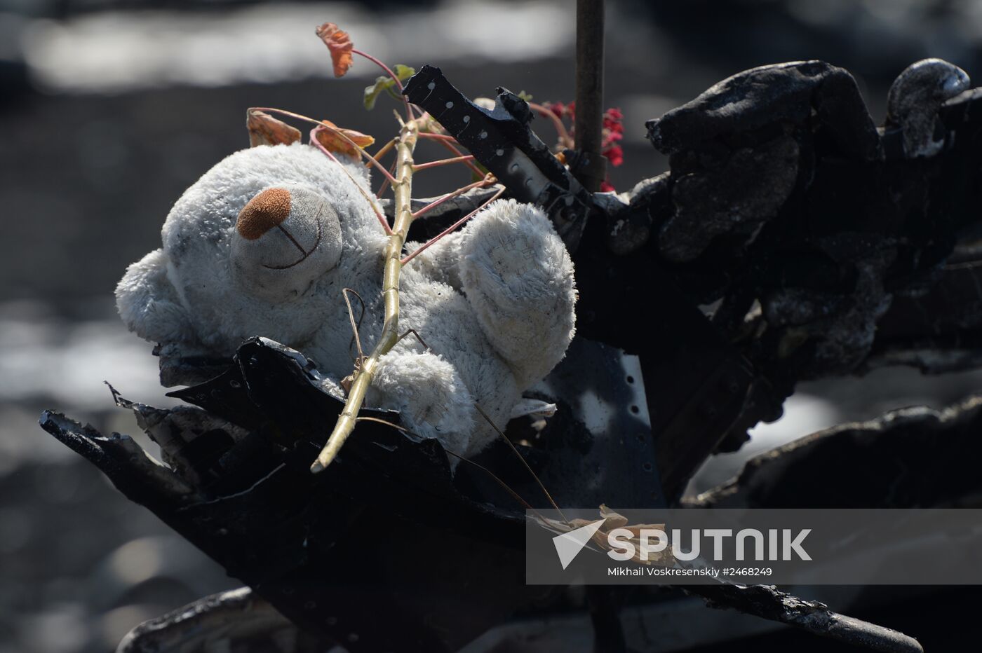 OSCE employees and experts work at Malaysia Airlines Boeing 777 crash site