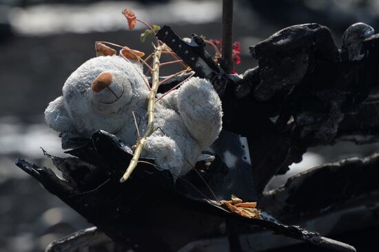 OSCE employees and experts work at Malaysia Airlines Boeing 777 crash site