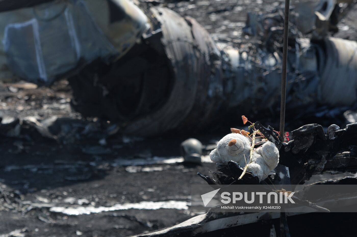 OSCE employees and experts work at Malaysia Airlines Boeing 777 crash site