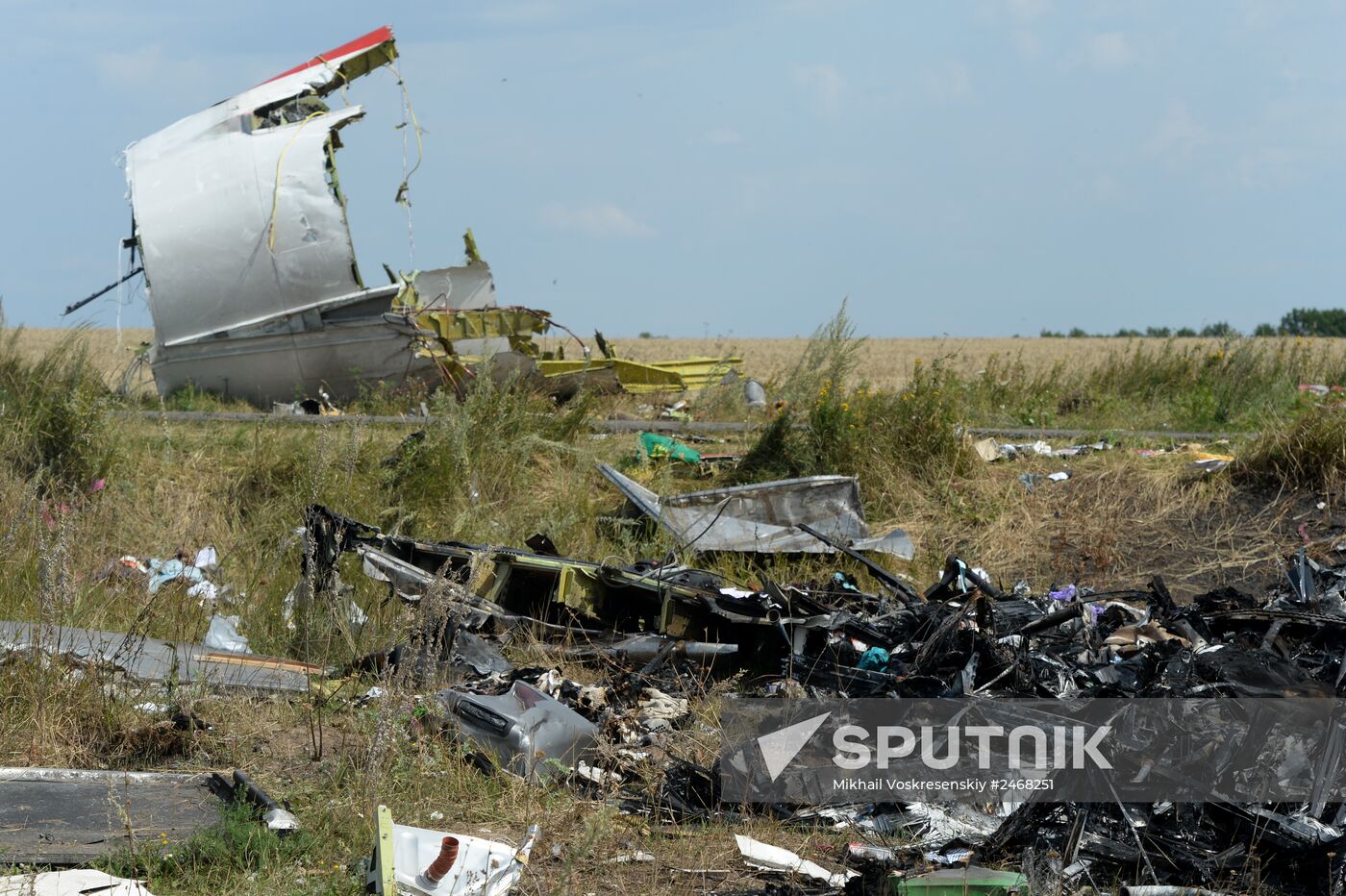 OSCE employees and experts work at Malaysia Airlines Boeing 777 crash site