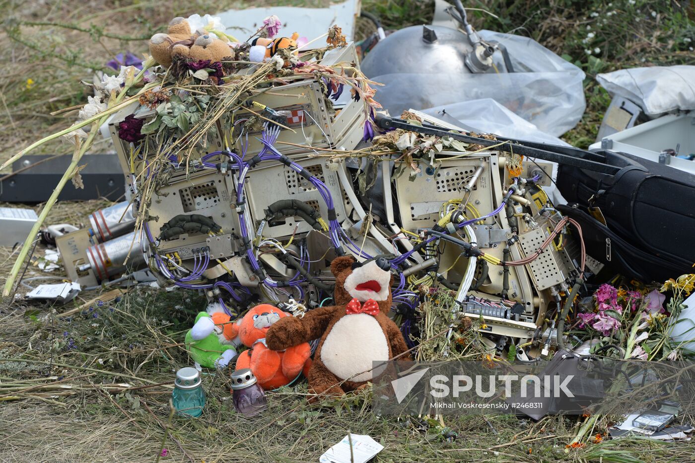 OSCE officials and experts inspect site of Malaysia Airlines Boeing 777 crash