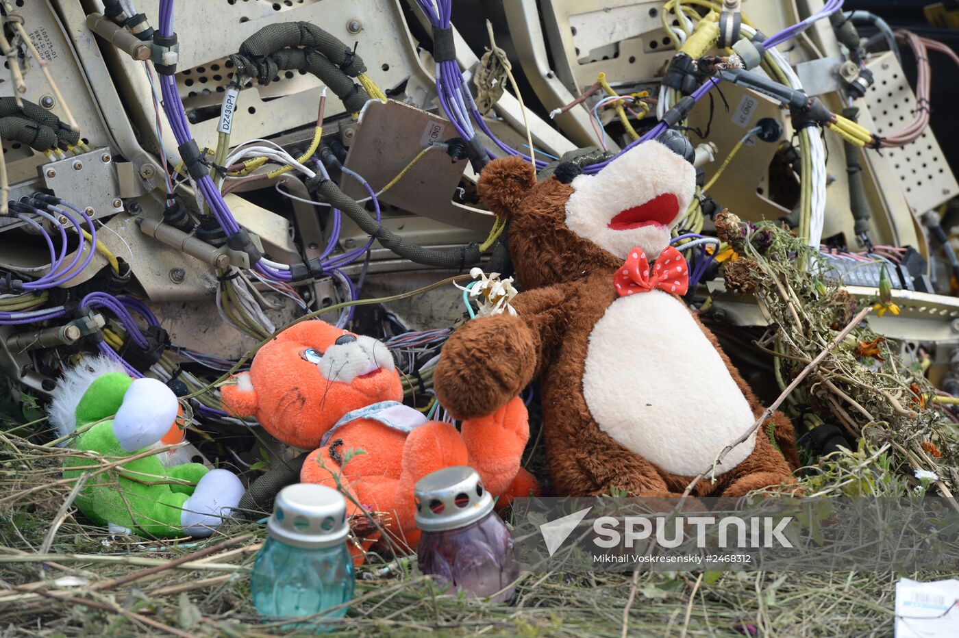 OSCE officials and experts inspect site of Malaysia Airlines Boeing 777 crash