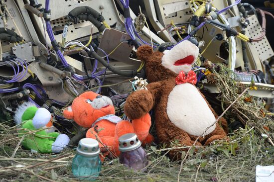 OSCE officials and experts inspect site of Malaysia Airlines Boeing 777 crash