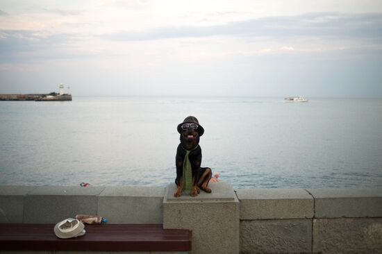 Tourist season in Yalta