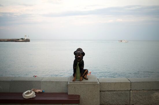 Tourist season in Yalta