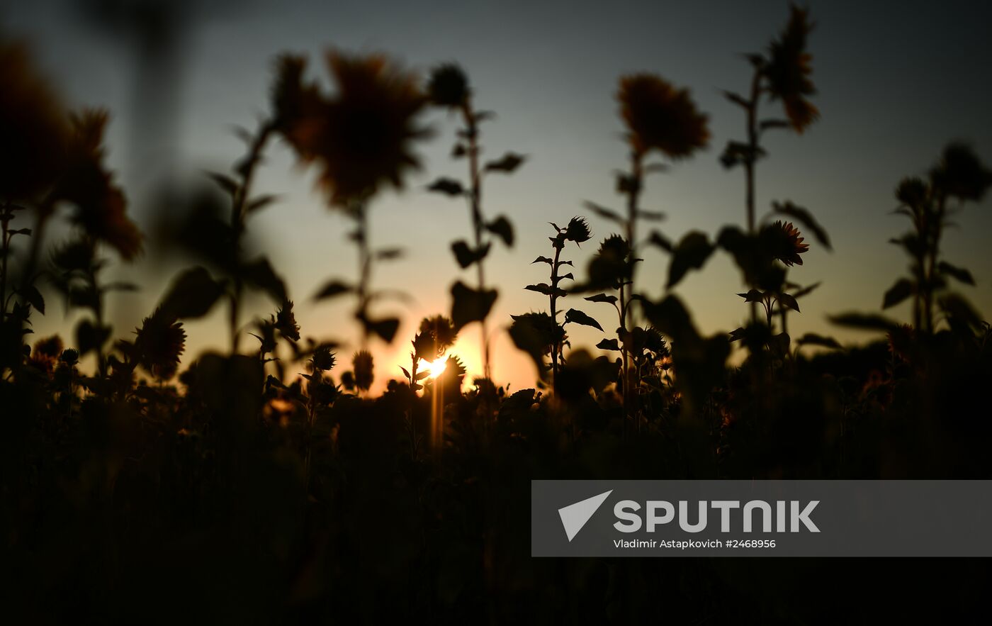 Archstoyanie Festival. Day Two