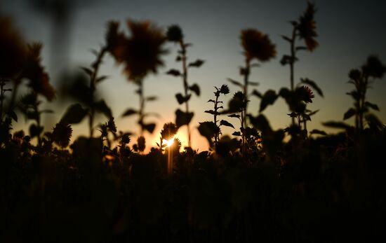 Archstoyanie Festival. Day Two