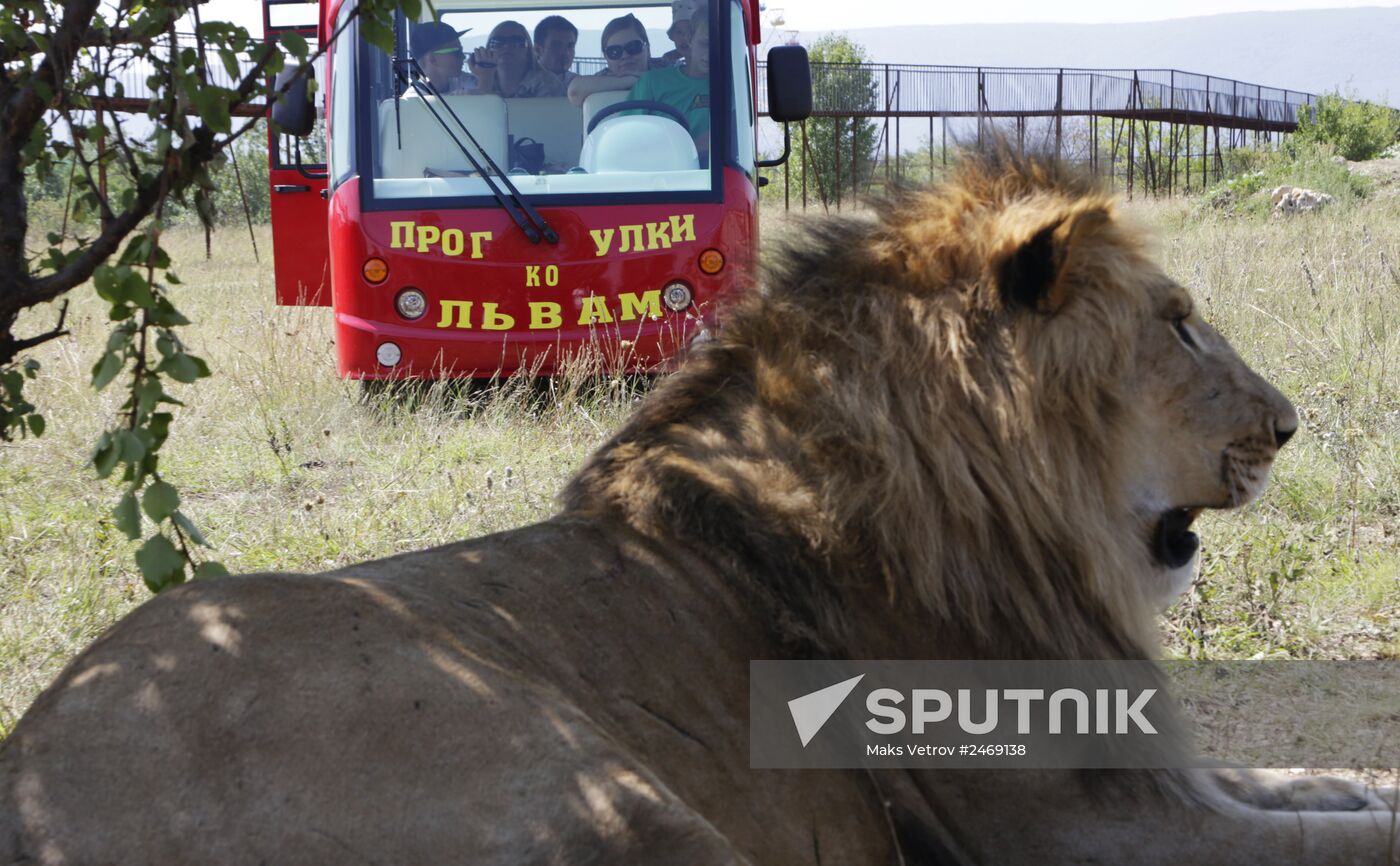 Taigan lion park in Crimea
