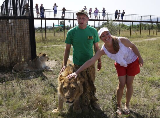 Taigan lion park in Crimea