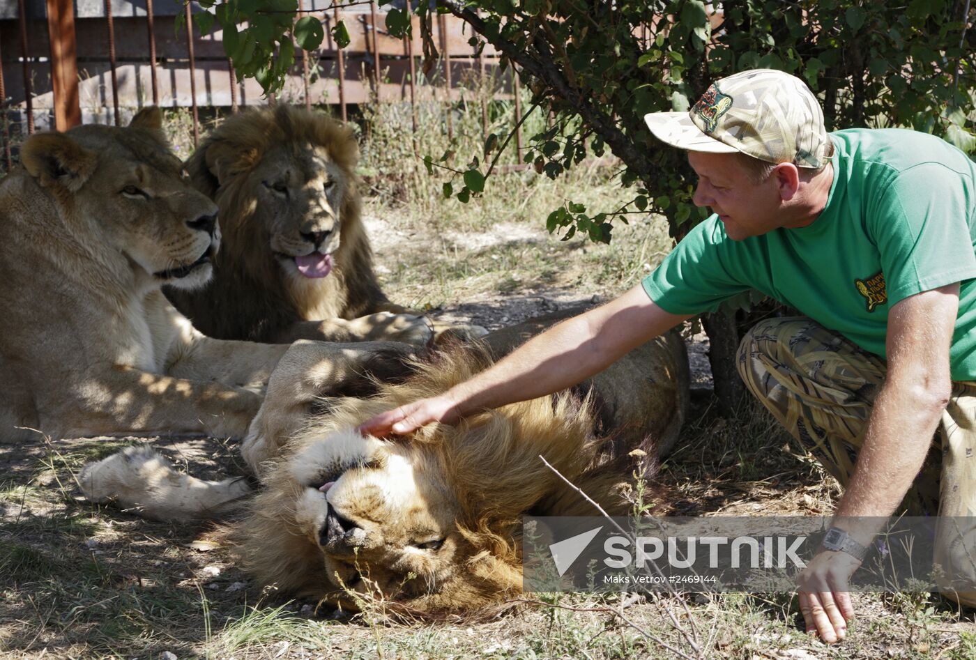 Taigan lion park in Crimea