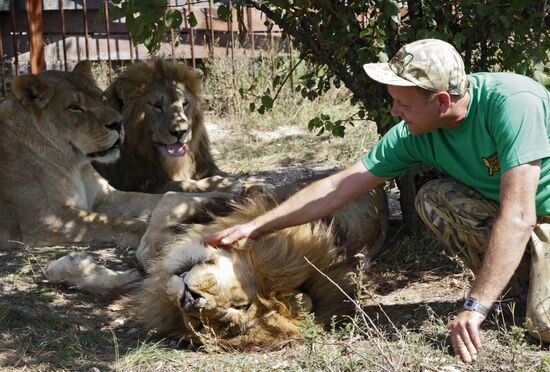 Taigan lion park in Crimea