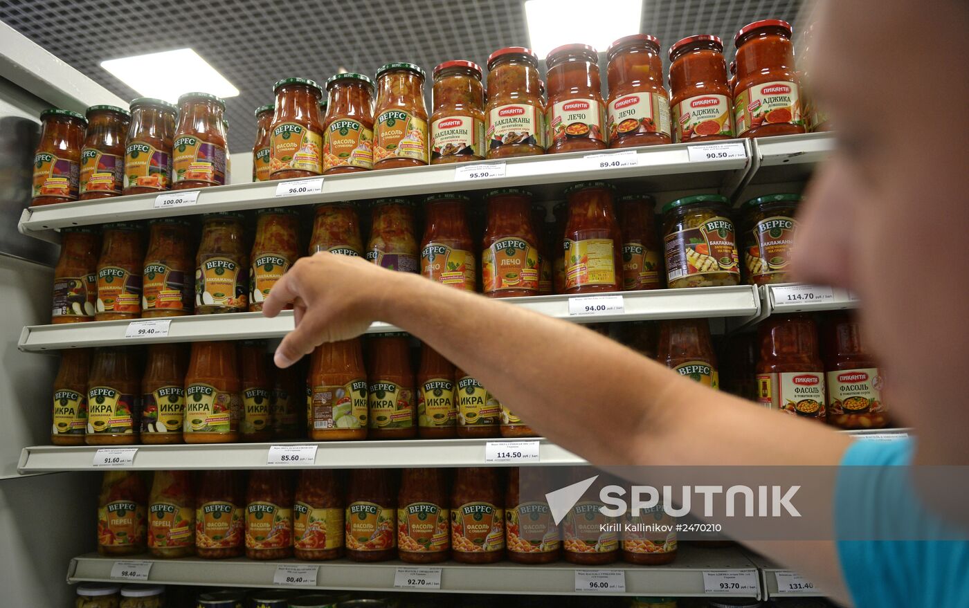 Russia bans Ukrainian food imports