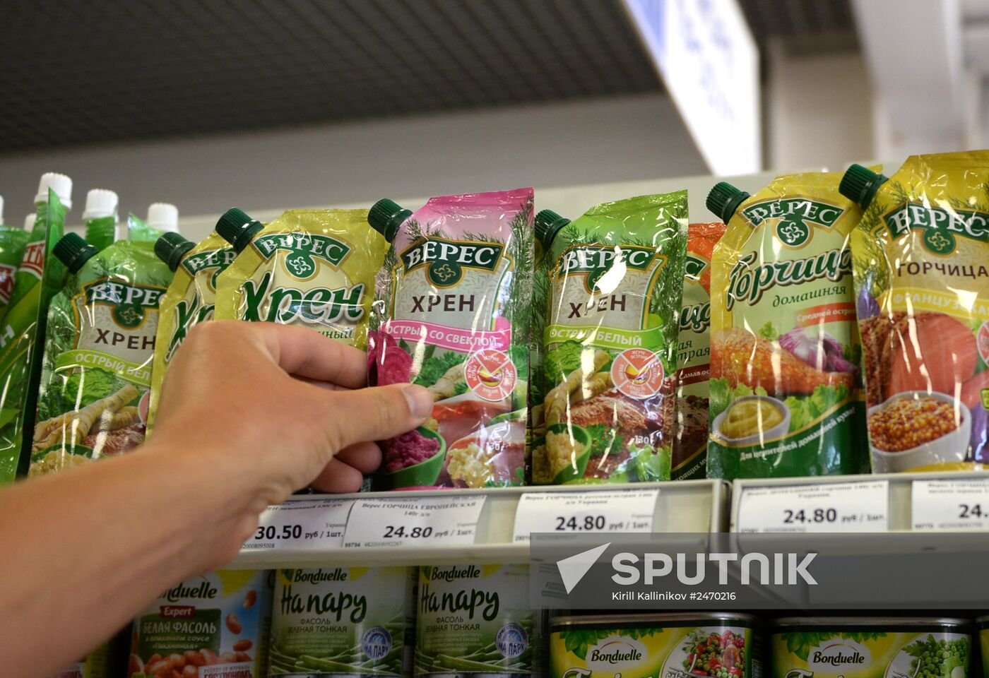 Russia bans Ukrainian food imports