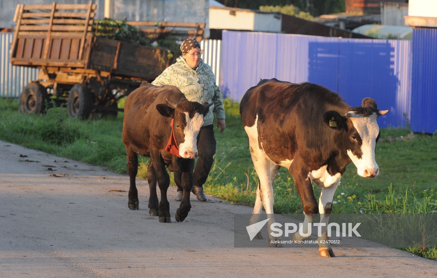 Life of Mari people in Malaya Tavra village