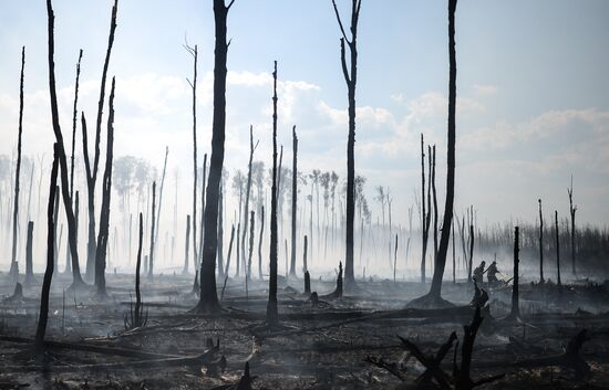 Wildfires in Tver Region