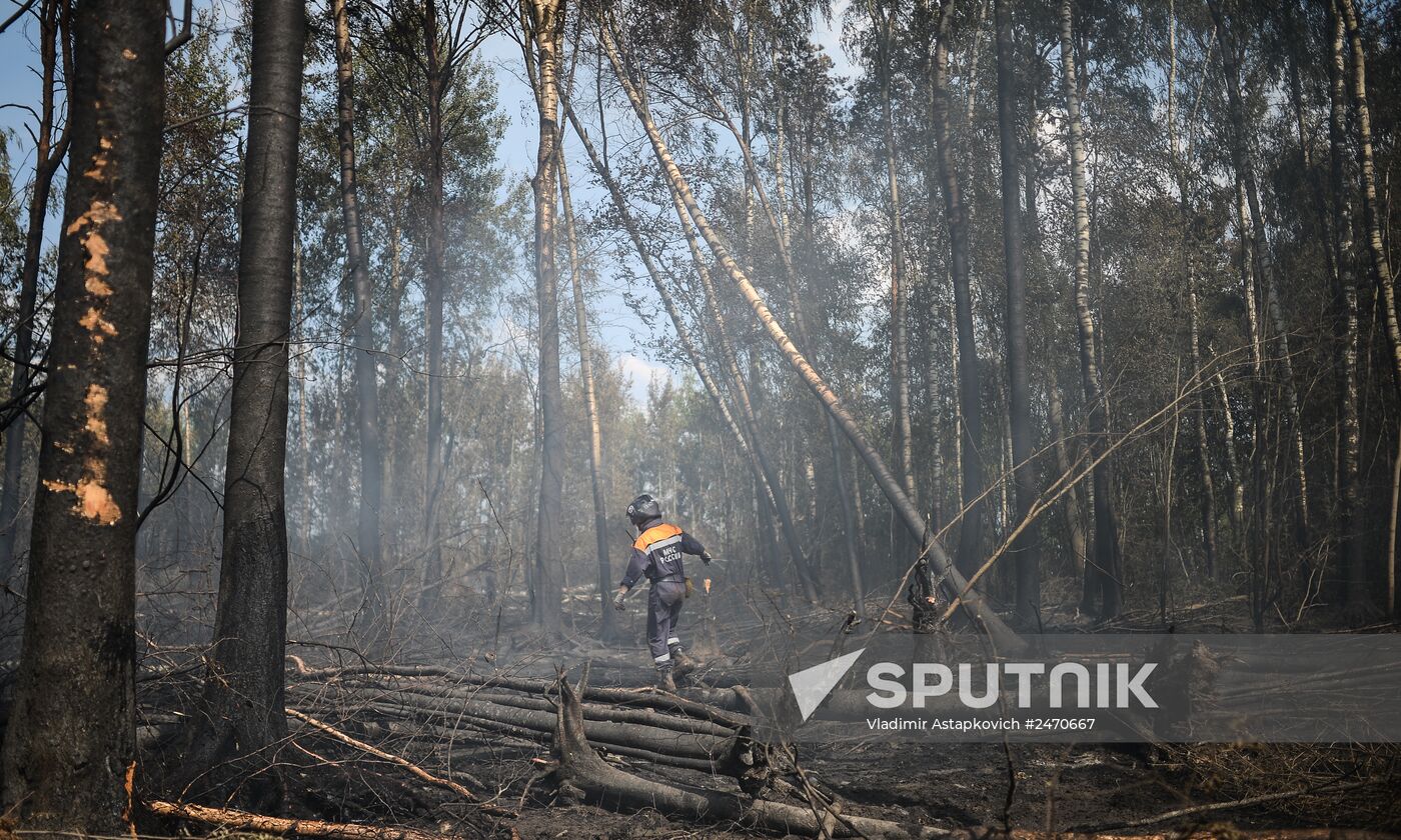 Wildfires in Tver Region