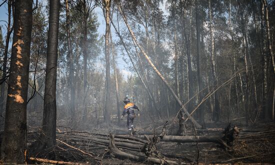 Wildfires in Tver Region