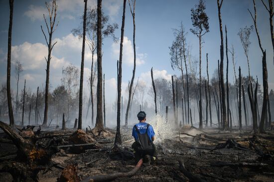 Wildfires in Tver Region