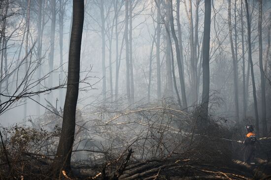 Wildfires in Tver Region