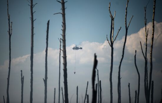 Wildfires in Tver Region