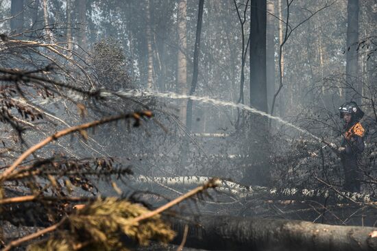 Wildfires in Tver Region