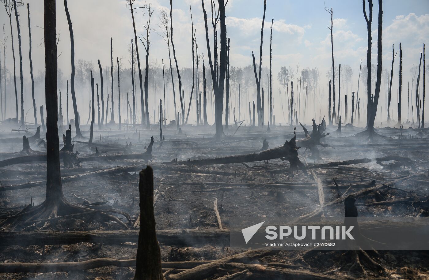 Wildfires in Tver Region