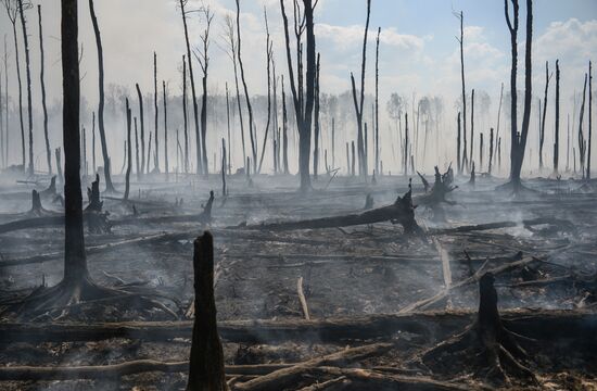 Wildfires in Tver Region