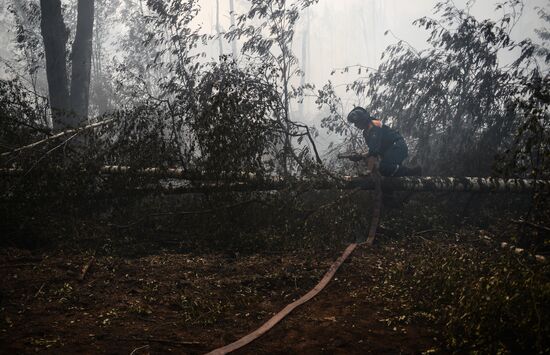 Wildfires in Tver Region