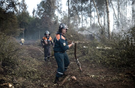 Wildfires in Tver Region