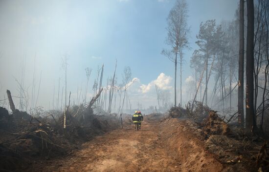 Wildfires in Tver Region