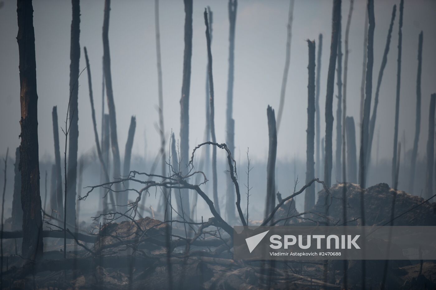 Wildfires in Tver Region