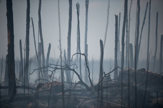 Wildfires in Tver Region