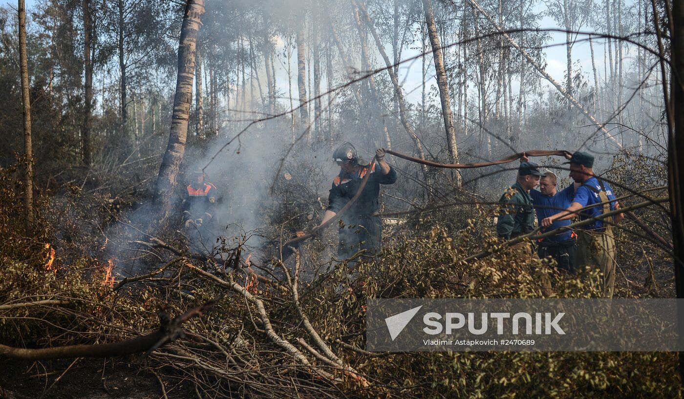 Wildfires in Tver Region