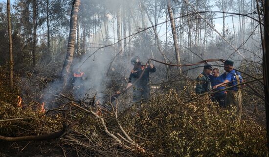 Wildfires in Tver Region