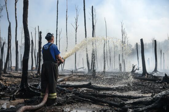 Wildfires in Tver Region