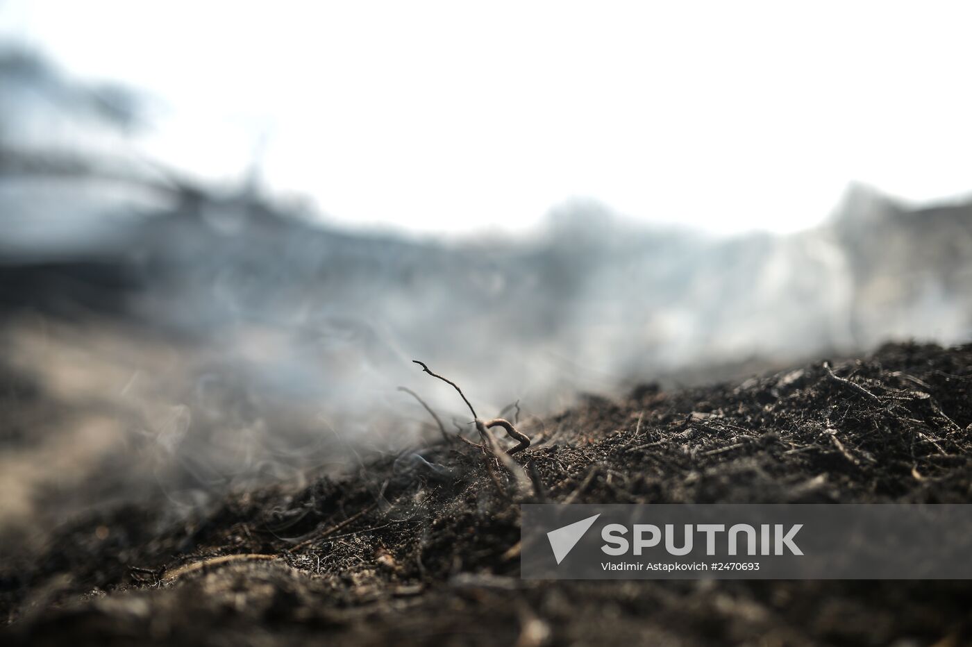 Wildfires in Tver Region