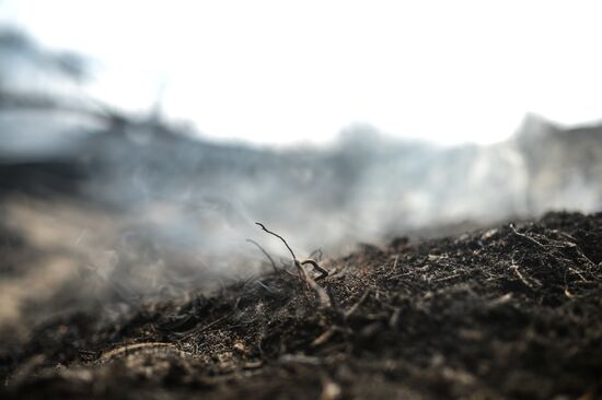 Wildfires in Tver Region