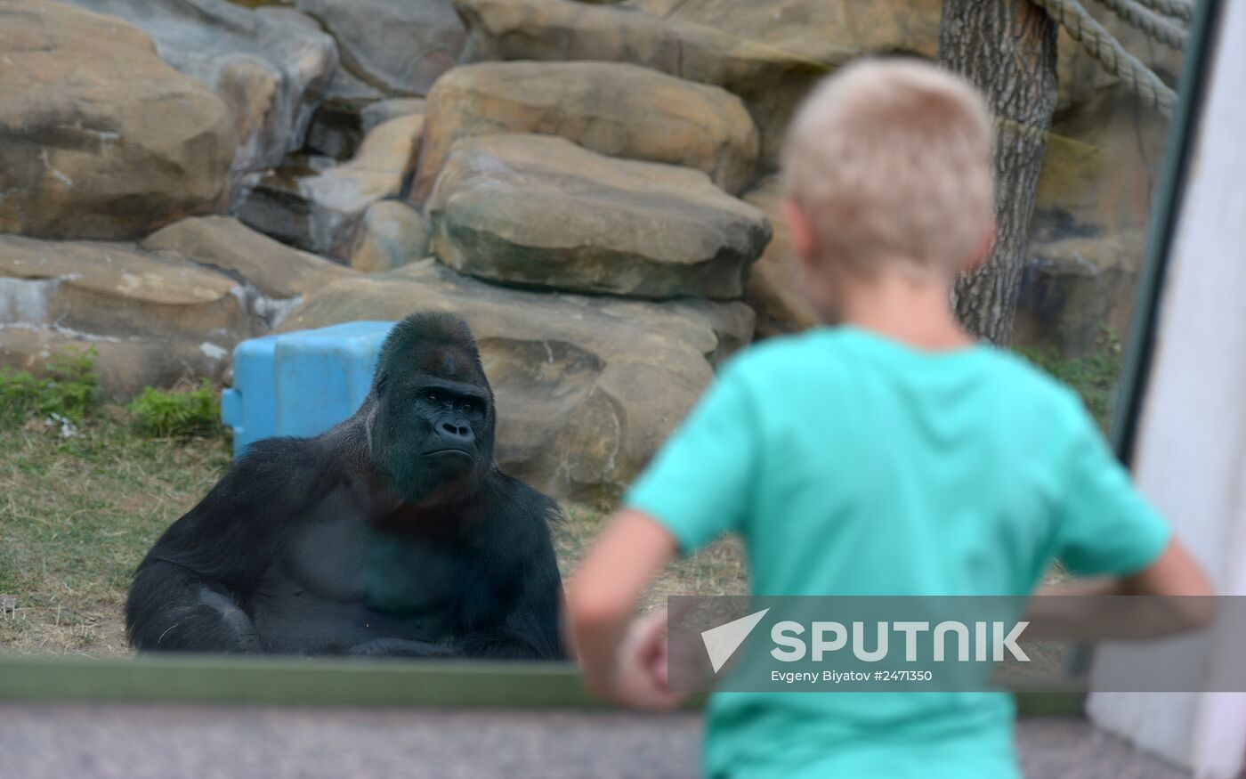 Moscow Zoo's 150th anniversary