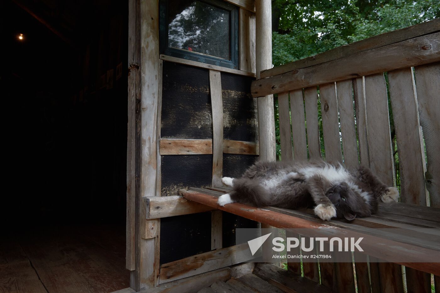 Sergei Dovlatov's House Museum in Berezino village