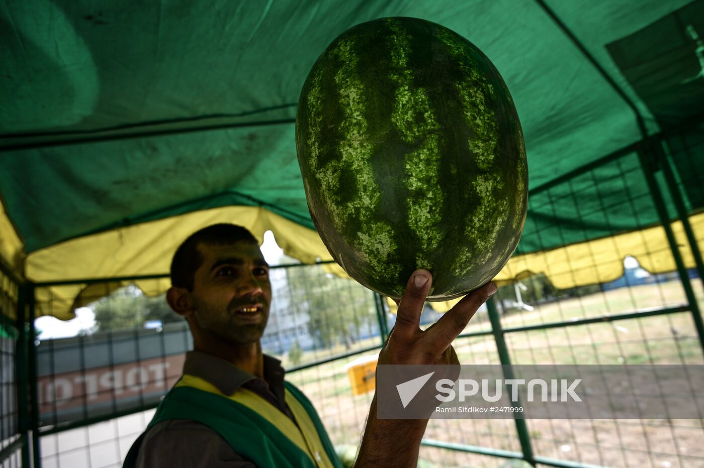 Melons and watermelons sold in Moscow