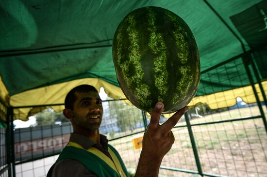 Melons and watermelons sold in Moscow