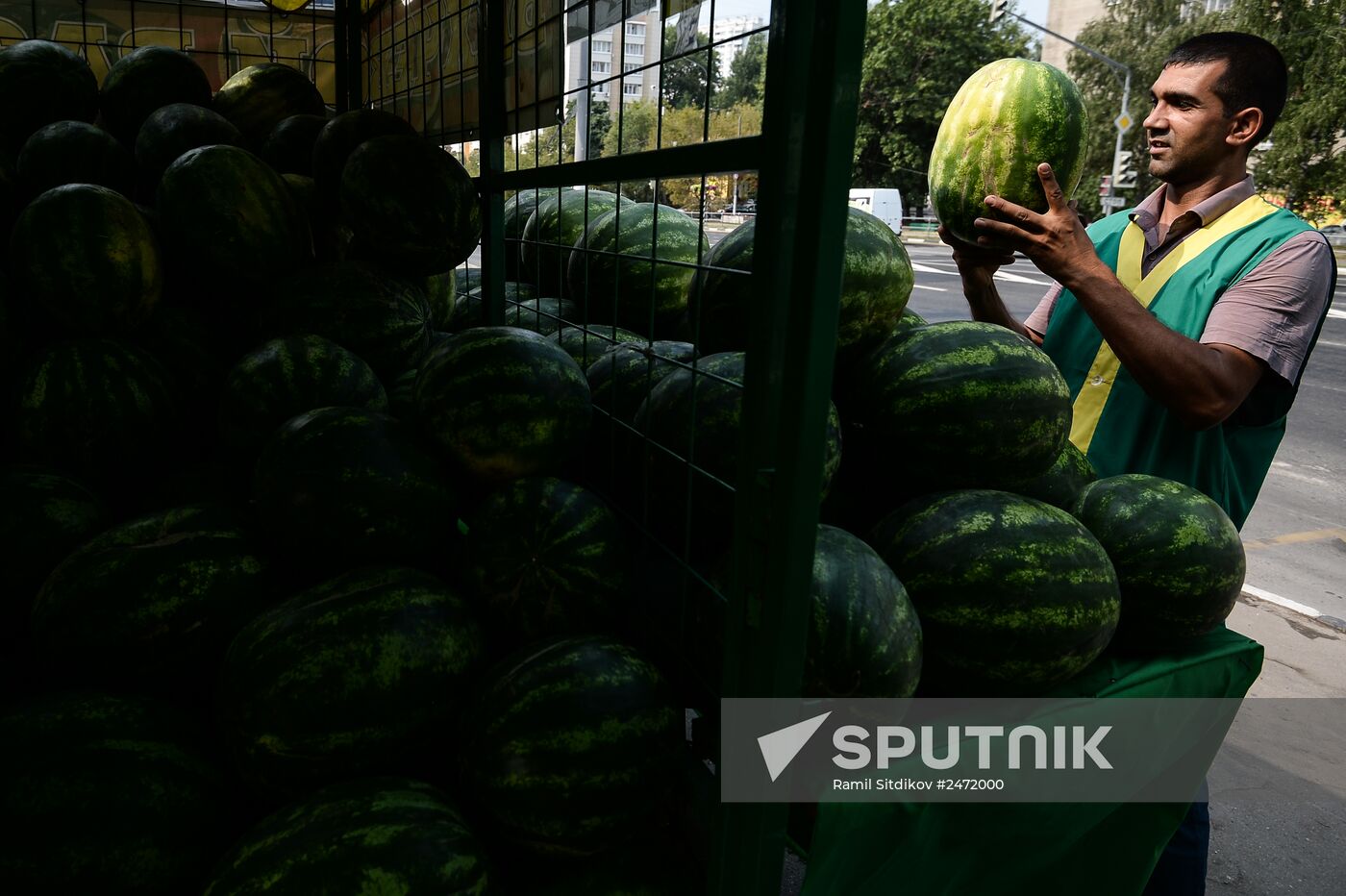 Melons and watermelons sold in Moscow