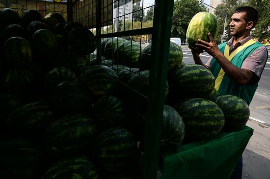 Melons and watermelons sold in Moscow