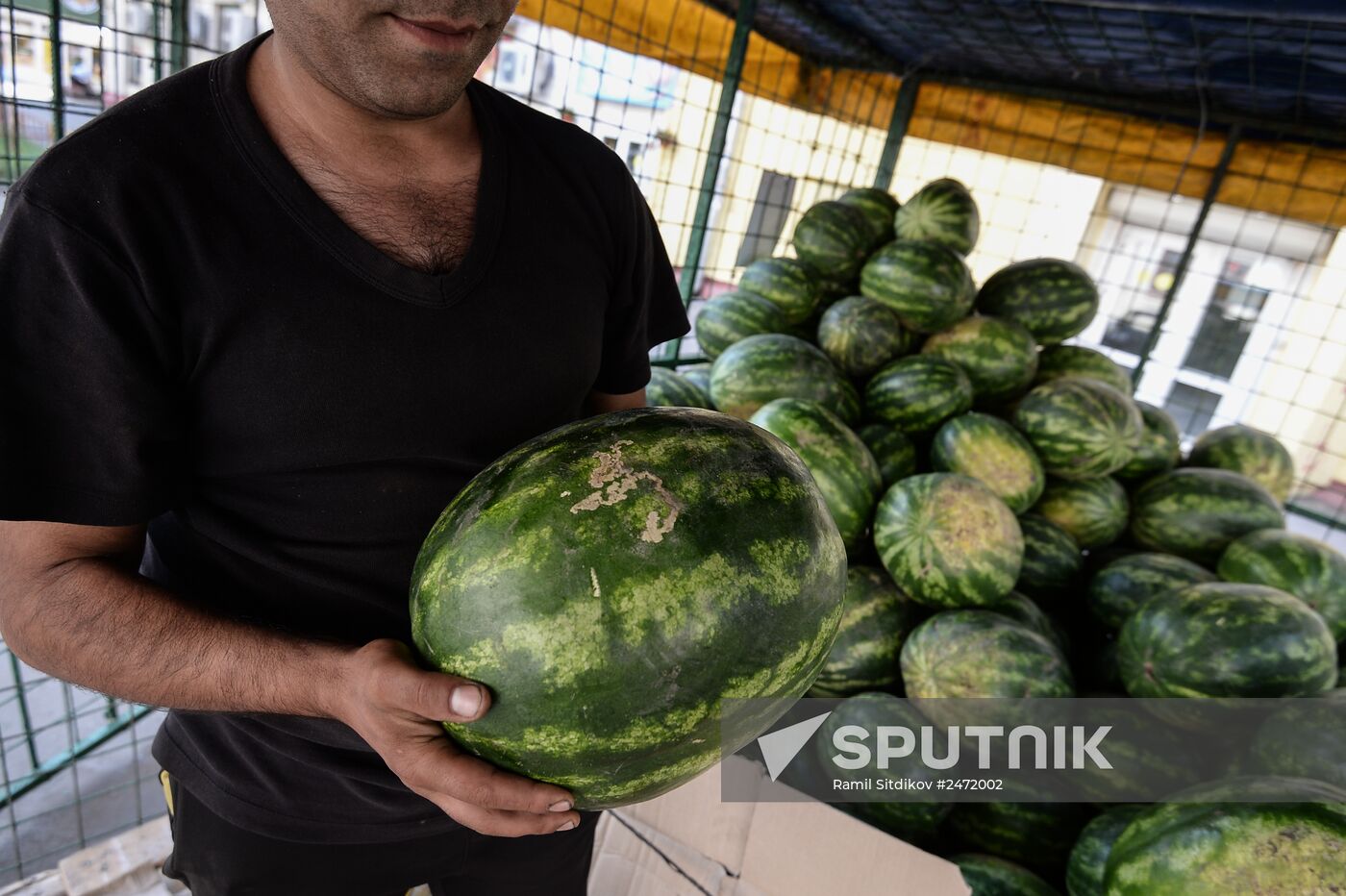 Melons and watermelons sold in Moscow