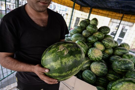 Melons and watermelons sold in Moscow