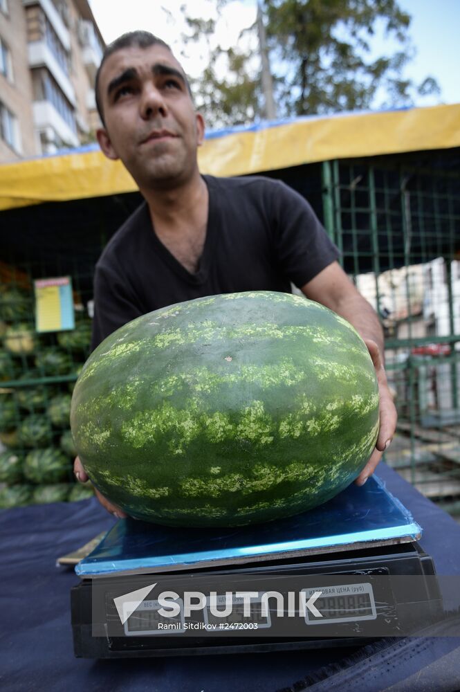 Melons and watermelons sold in Moscow